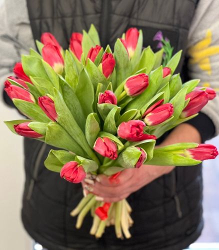 Купить букет из красных тюльпанов "Сабрина" с доставкой по Артёму